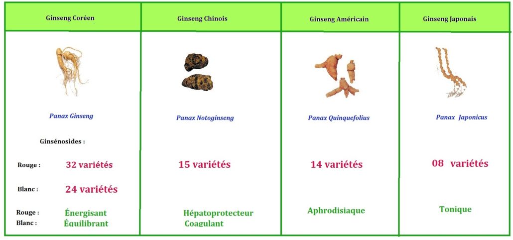 Comparaison des différentes variétés de ginseng