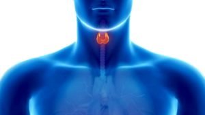 Goitre, augmentation anormale de la glande thyroïdienne