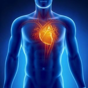 Insuffisance cardiaque, baisse de la capacité du cœur à pomper correctement le sang