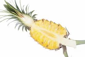 bromelaine tige ananas