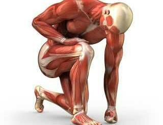 Myopathie