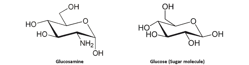 Structure chimique de la glucosamine proche de celle du glucide
