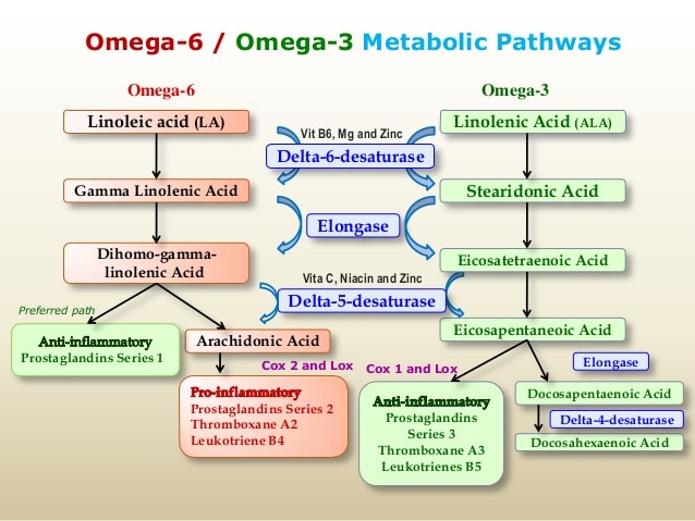 Le mode d'action des oméga-3 contenus dans les huiles de poisson