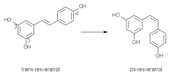 Photosensible, le trans-resvératrol se convertit en cis-resvératrol sous l'effet de la lumière