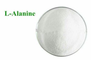 La poudre de L-alanine ne doit pas être mélangée avec la β-alanine