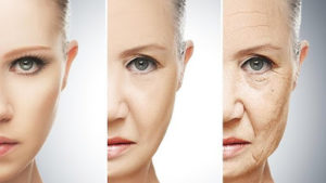  carnosine/vieillissement de la peau