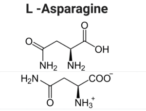 Asparagine