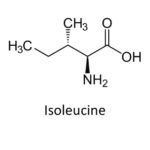 Isoleucine