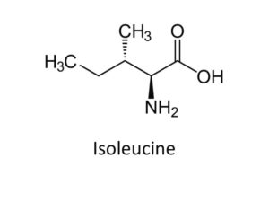 Isoleucine