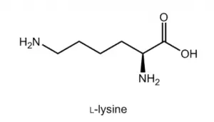 Lysine