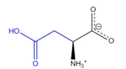 Acide aspartique