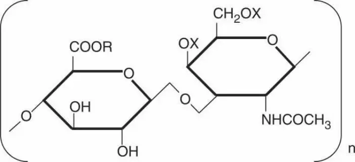 Chondroïtine