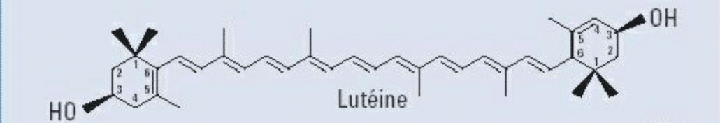 Lutéine