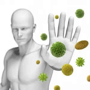 L'astragale peut augmenter les défenses immunitaires de l'organisme
