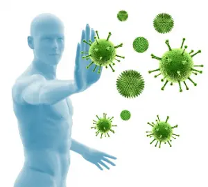 L'astragaloside IV agit comme un immunomodulateur