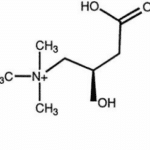 L carnitine