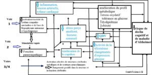 Les avantages de la Méditation