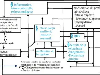 Les avantages de la Méditation