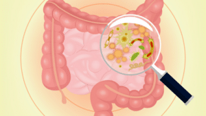 butyrate et microflore intestinale