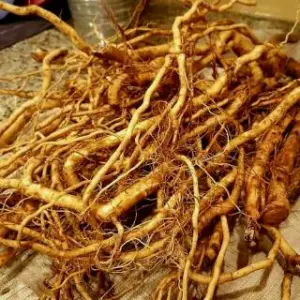 ashwagandha bio