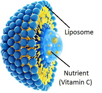 Vitamine C liposomale