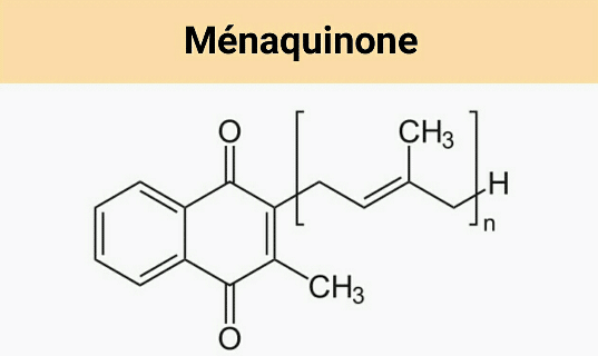 Vitamine K2