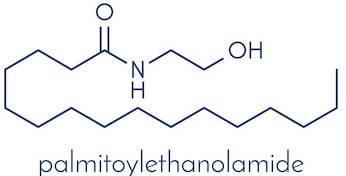 Palmitoylethanolamide molécule