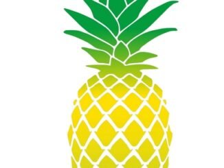 bromelaine bio pure